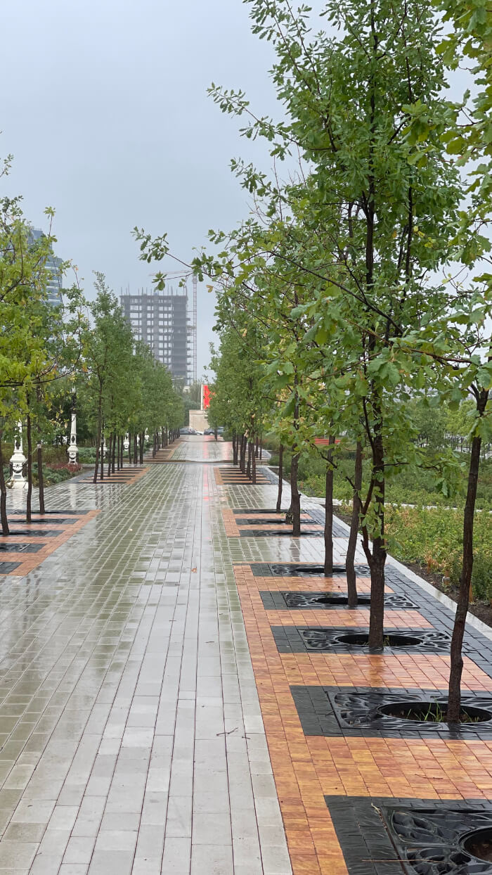 Приствольная решетка для дерева ZKING CRUST 1.2х1.2м Черная в Краснодаре фото