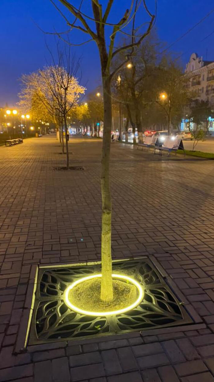 Приствольная решетка для дерева ZKING CRUST 1.2х1.2м Черная в Краснодаре фото